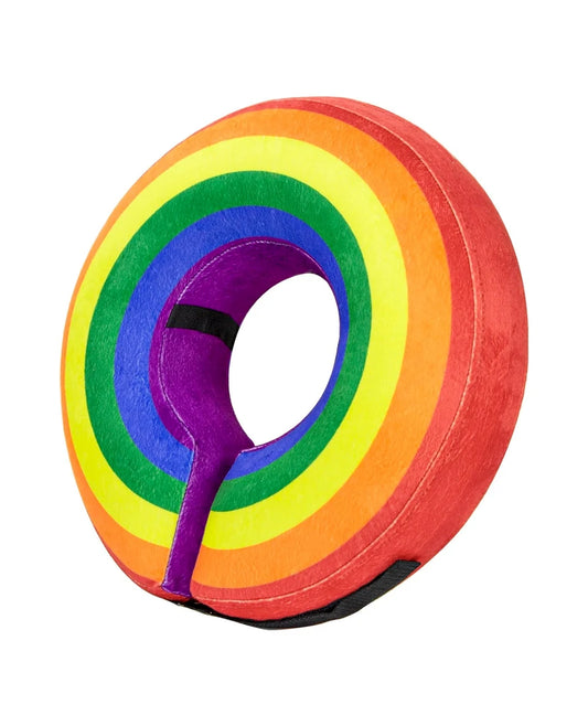 a rainbow colored circle shaped object