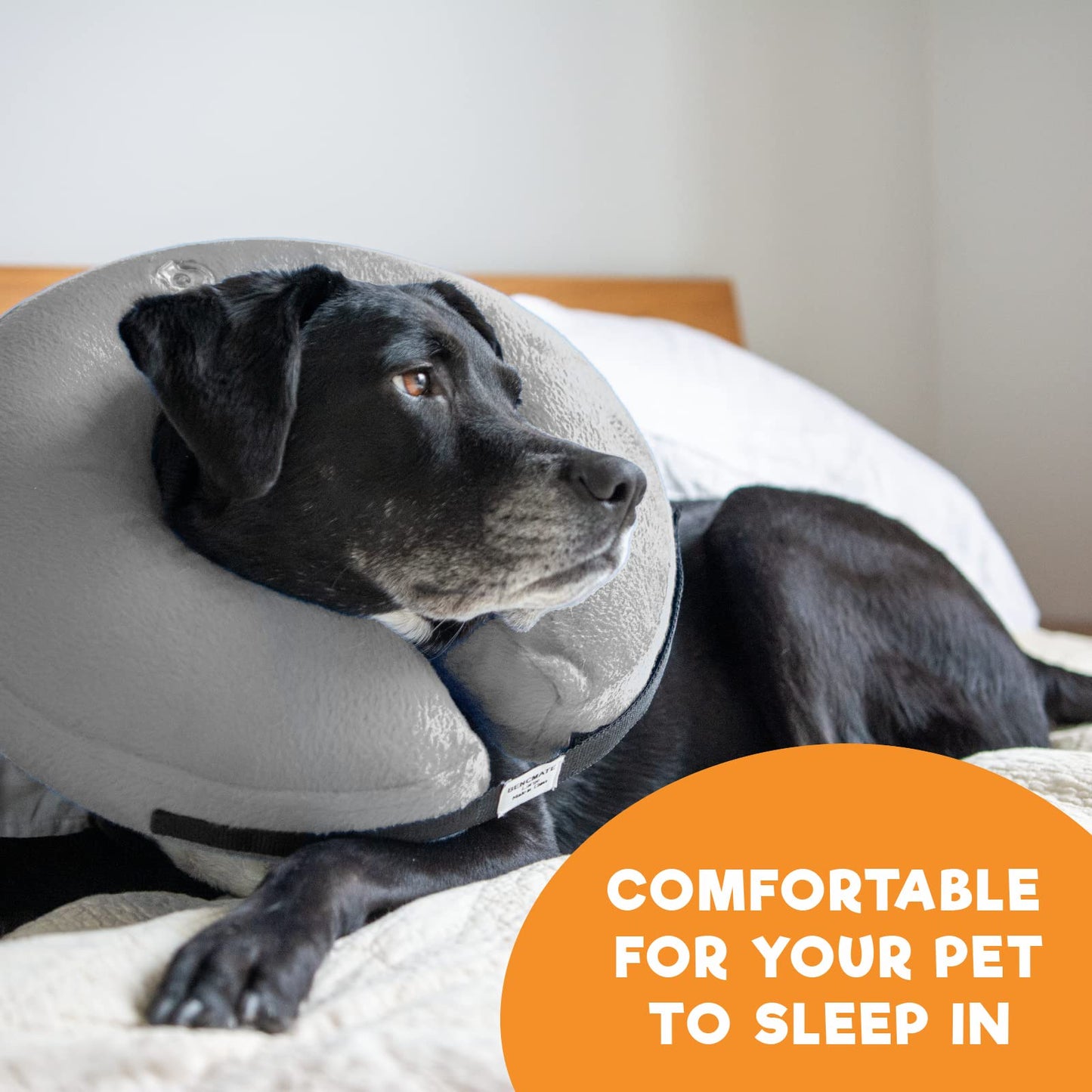 a dog lying on a bed with a cone around its neck with text: 'BENCMATE COMFORTABLE FOR YOUR PET TO SLEEP IN'