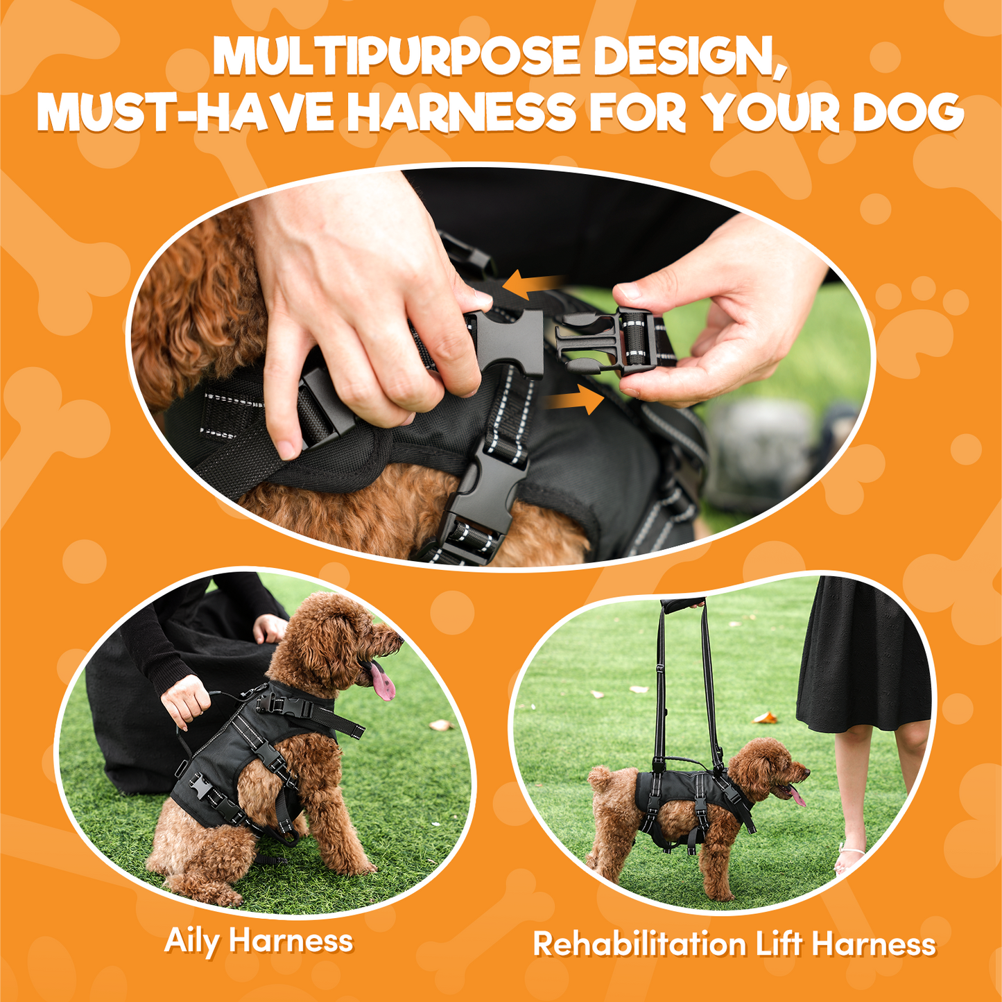 a collage of images of a dog harness with text: 'MULTIPURPOSE DESIGN, MUST-HAVE HARNESS FOR YOUR DOG Aily Harness Rehabilitation Lift Harness'