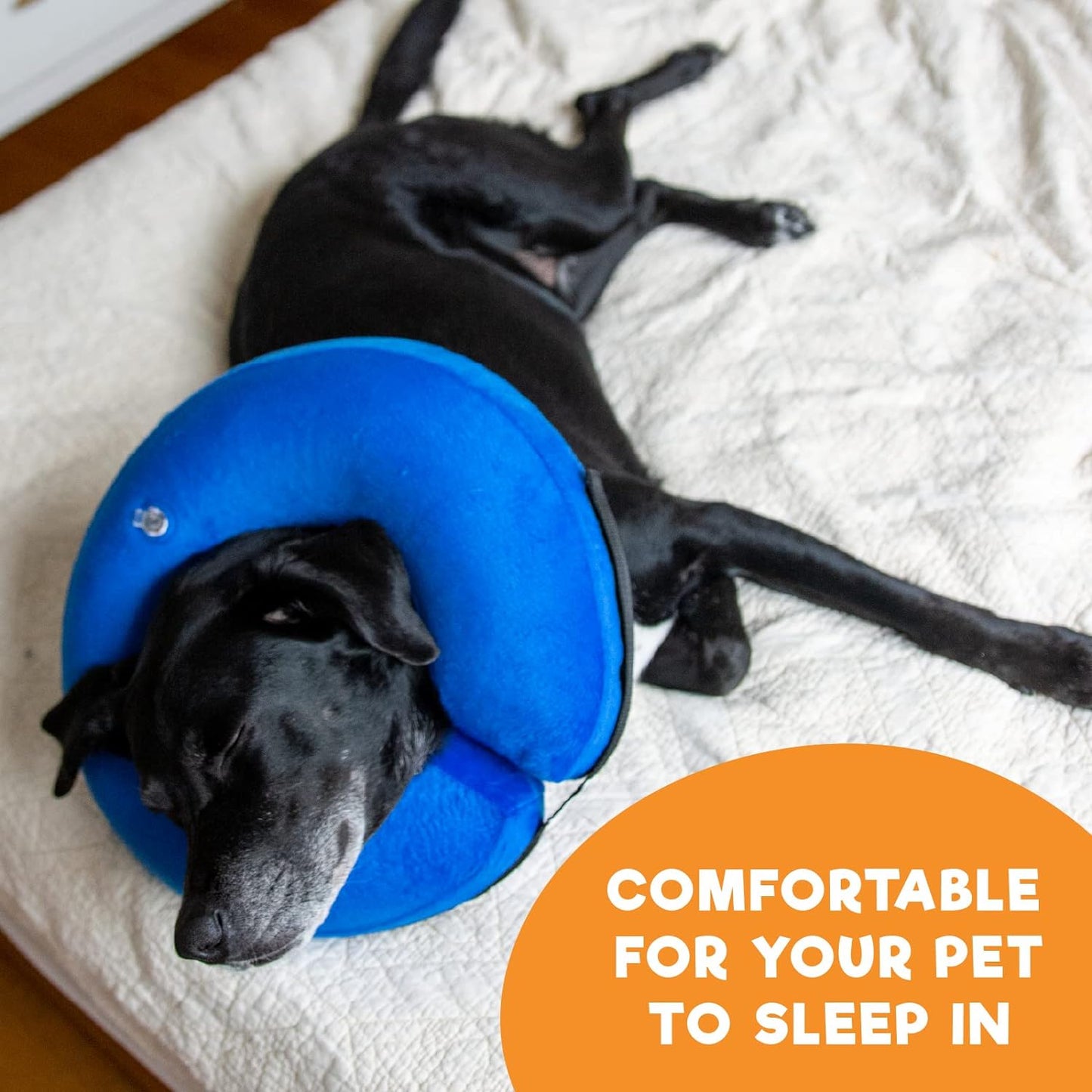 a dog lying on a bed with a blue cone around its neck with text: 'COMFORTABLE FOR YOUR PET TO SLEEP IN'