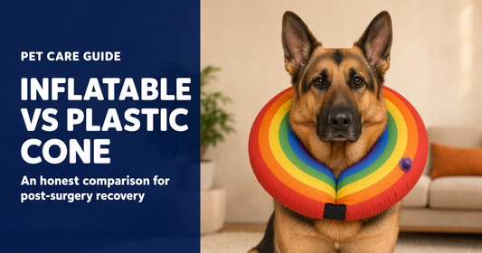 BENCMATE blog header — Inflatable Dog Collar vs Plastic Cone — German Shepherd with Rainbow recovery collar