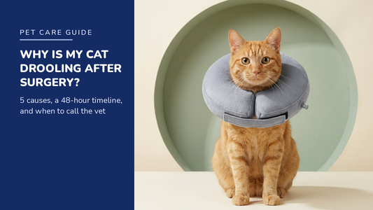 BENCMATE blog header — Why Is My Cat Drooling After Surgery — ginger tabby cat with Grey inflatable recovery collar