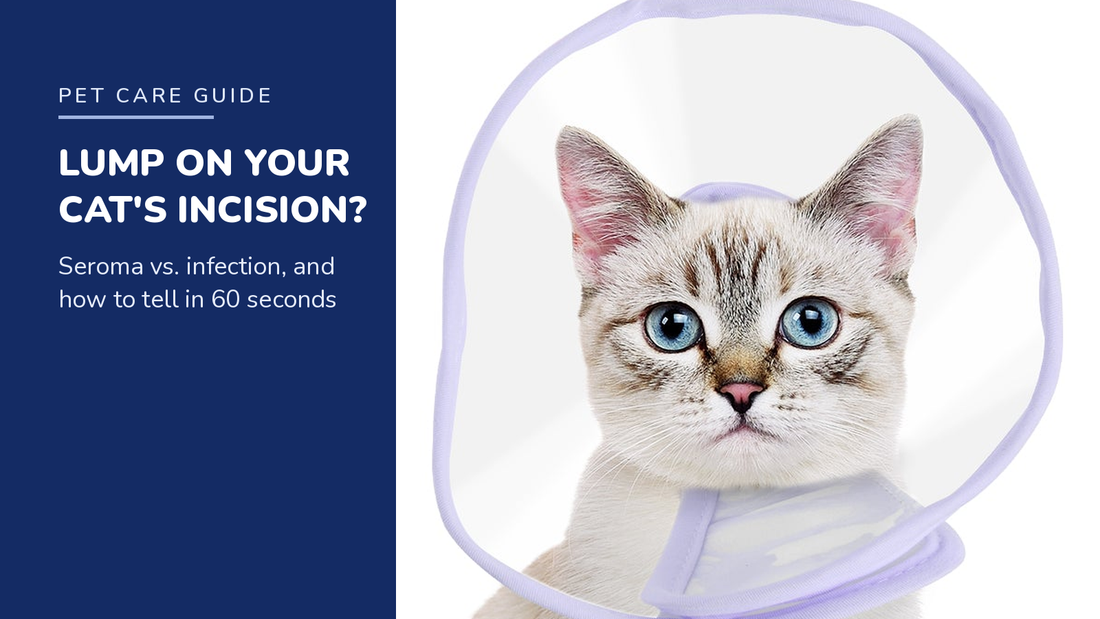 BENCMATE blog header — Lump on Your Cat's Incision — tabby cat with Purple recovery collar