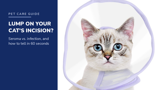 BENCMATE blog header — Lump on Your Cat's Incision — tabby cat with Purple recovery collar