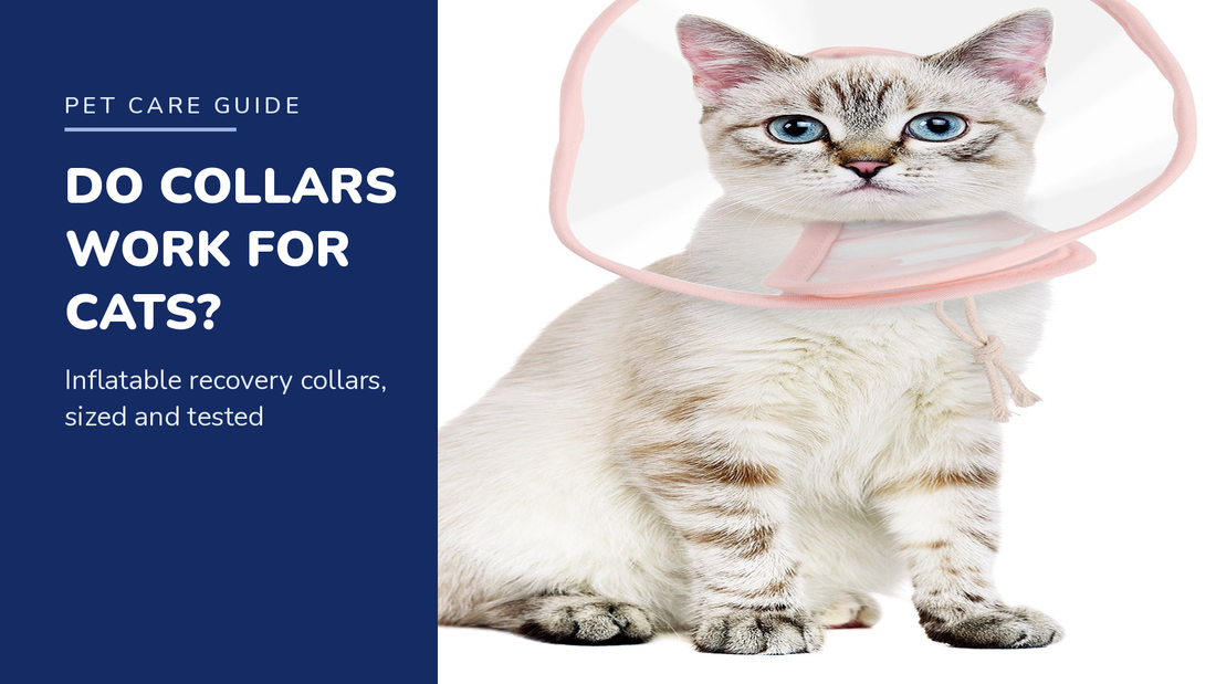 BENCMATE blog header — Do Inflatable Recovery Collars Work for Cats — tabby cat with Pink recovery collar