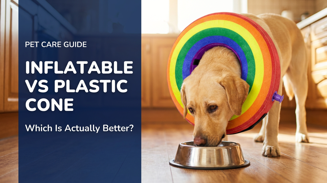 Inflatable Dog Collar vs Plastic Cone: Which Is Actually Better?