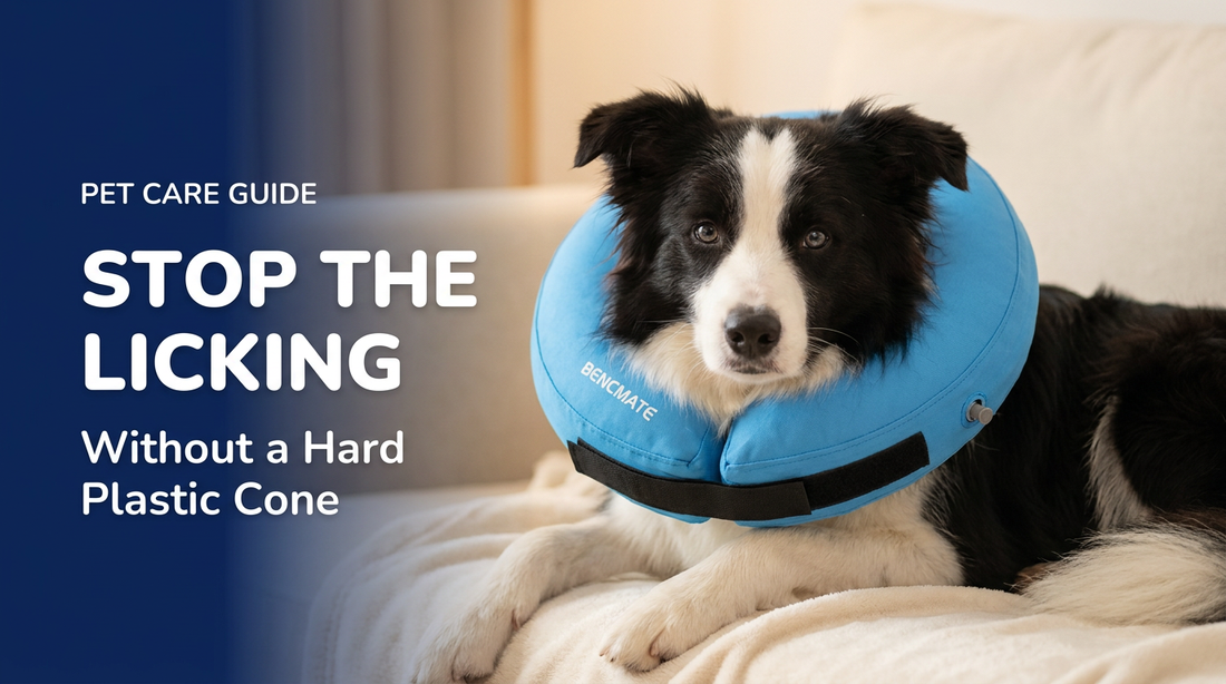 BENCMATE blog header — How to Stop a Dog From Licking a Wound — dog with Blue recovery collar
