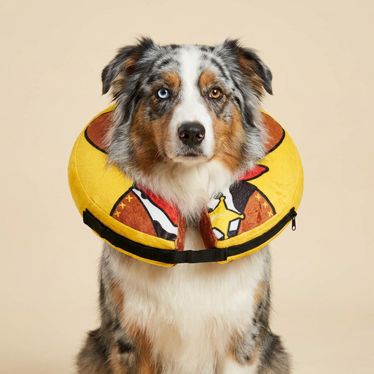 Australian Shepherd dog wearing BENCMATE Cowboy inflatable recovery collar - bright yellow with cartoon cowboy dog character