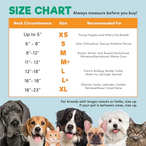 BENCMATE Dog Recovery Collar — Heart Shape
