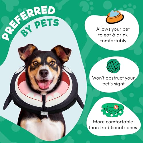 BENCMATE Dog Recovery Collar — Orca