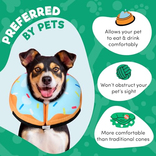 BENCMATE Dog Recovery Collar — Blue Donut