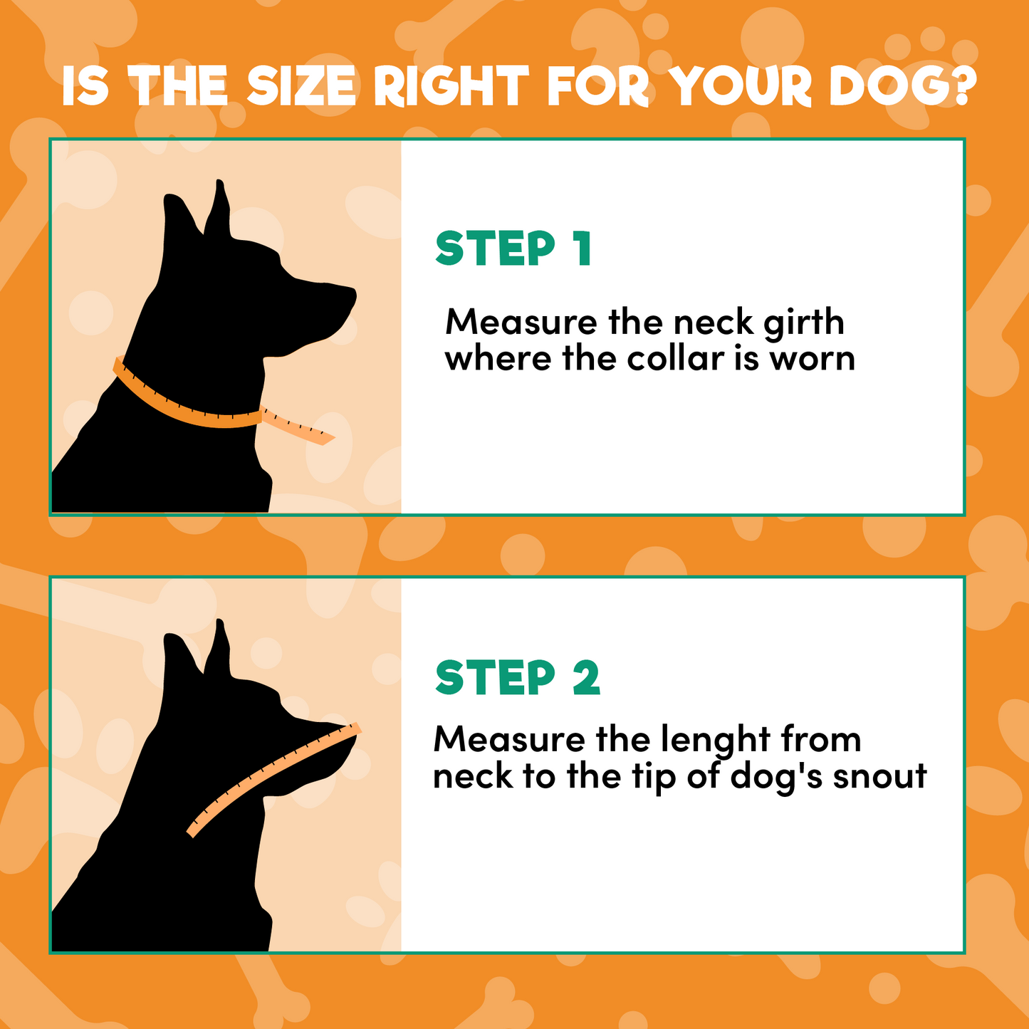 a dog with a collar with text: 'IS THE SIZE RIGHT FOR YOUR DOG? STEP 1 Measure the neck girth where the collar is worn STEP 2 Measure the lenght from neck to the tip of dog's snout'