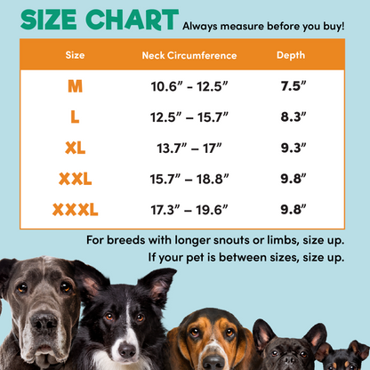 a group of dogs with size chart with text: 'SIZE CHART Always measure before you buy! Size Neck Circumference Depth M 10.6" - 12.5" 7.5" L 12.5" - 15.7" 8.3" XL 13.7" - 9.3" XXL 15.7" - 18.8" 9.8" XXXL 17.3" - 19.6" 9.8" For breeds with longer snouts or limbs, size up. If your pet is between sizes, size up.'