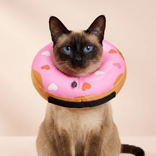 Siamese cat wearing BENCMATE Heart Shape inflatable recovery collar