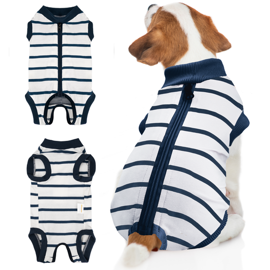 a dog wearing a striped shirt