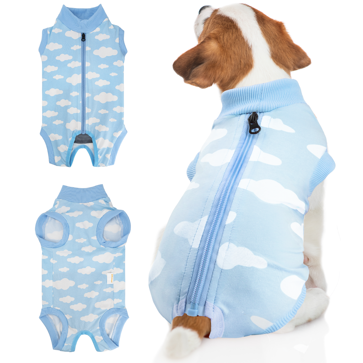 a dog wearing a blue sweater with white cloud patterns