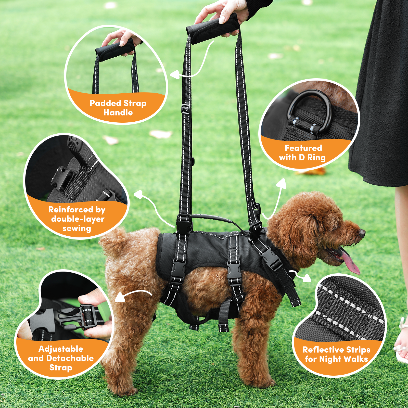 XLpeixin 2pcs Dog Lift Harness Dog Support Harness For Back Legs