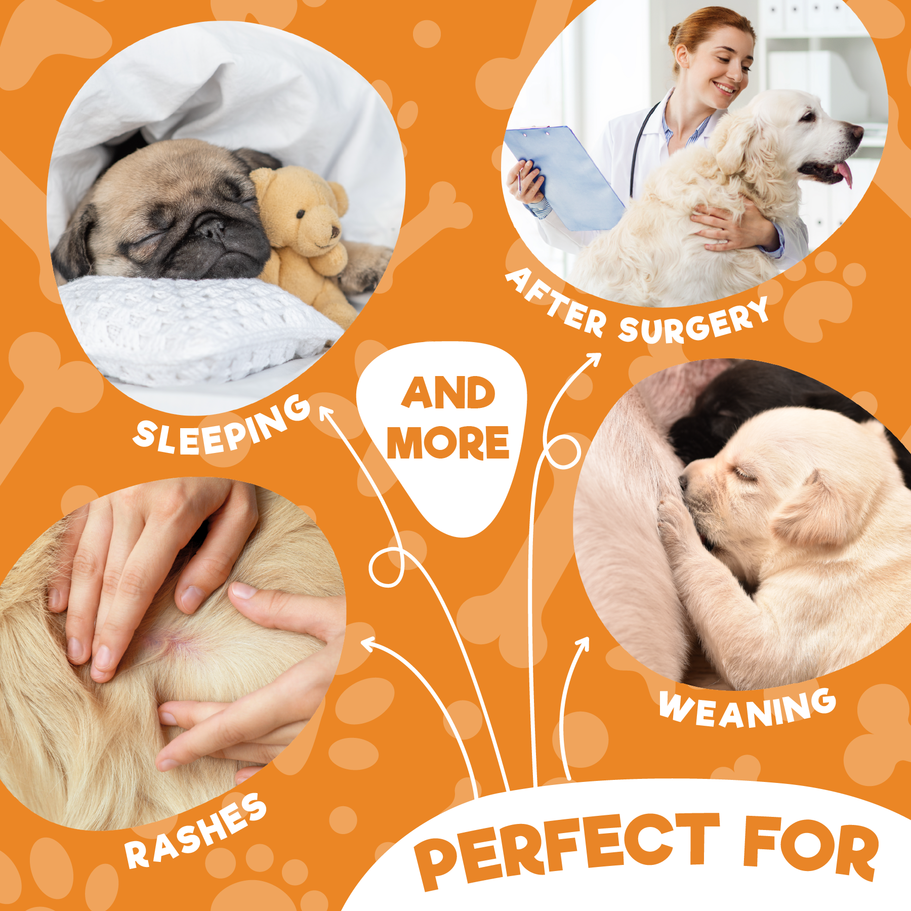 a collage of images of dogs and a person with text: 'AFTER SURGERY AND SLEEPING MORE WEANING RASHES PERFECT FOR'