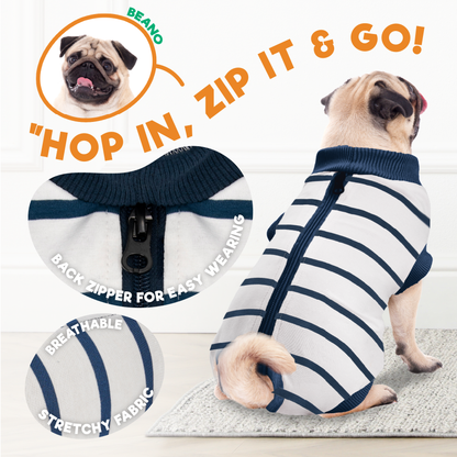 a dog wearing a sweater with text: 'BEANO IN. ZIP & BACKT WEARING BREATHABLE EASY STRETCHY FABRIC'