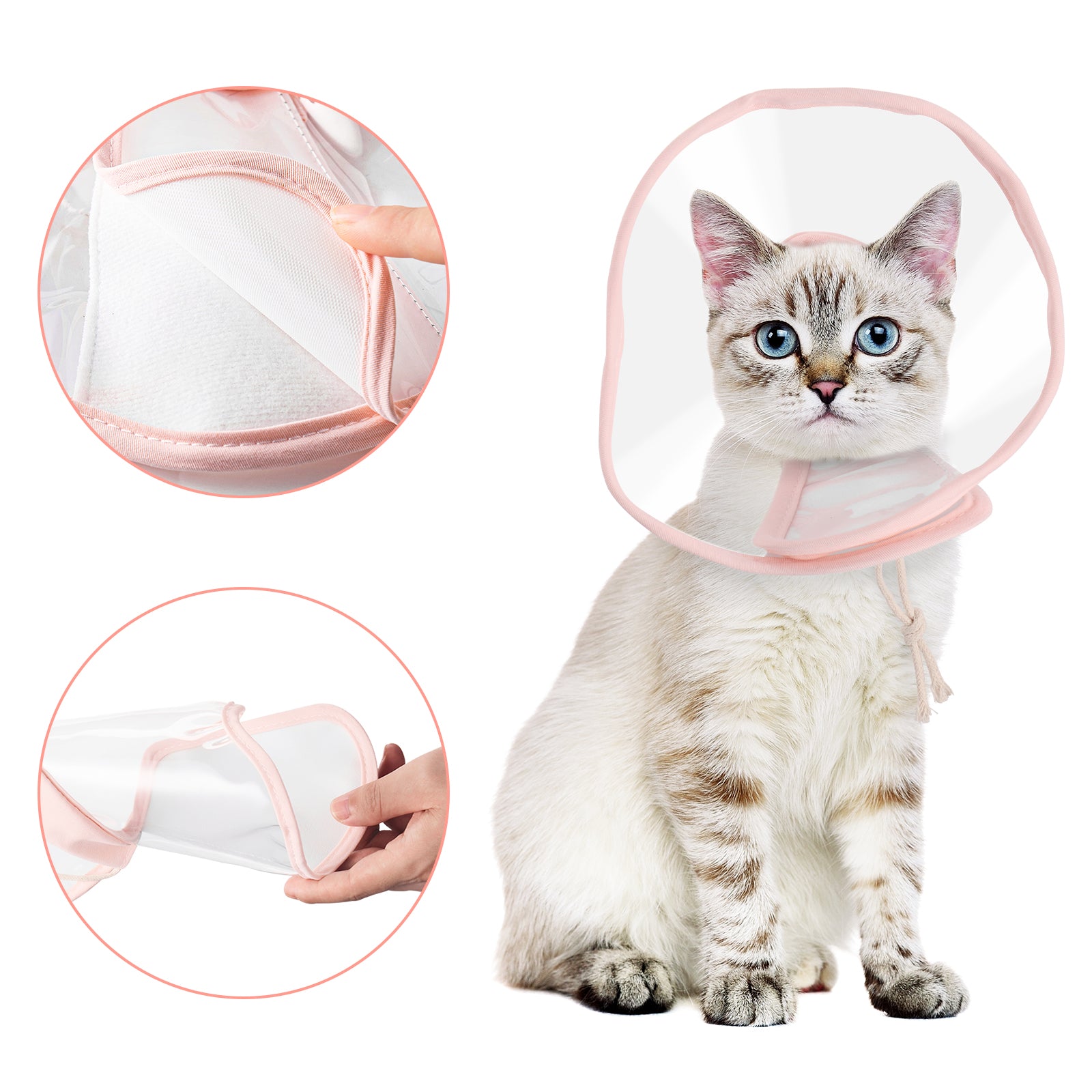 a cat wearing a pink cone