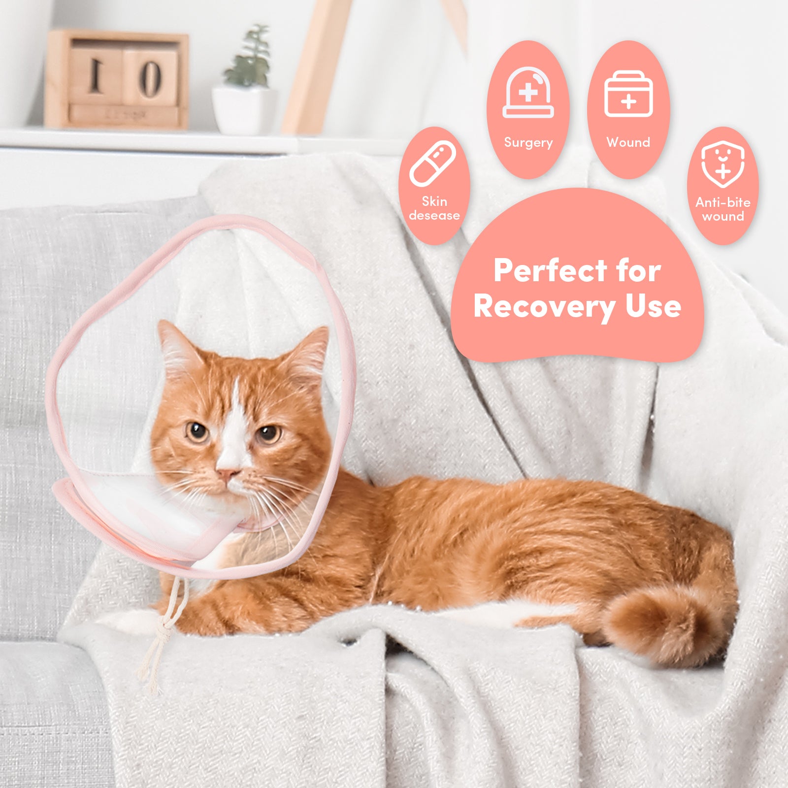 a cat lying on a couch with a cone around its head with text: '+ Surgery Wound Skin Anti-bite desease wound Perfect for Recovery Use'