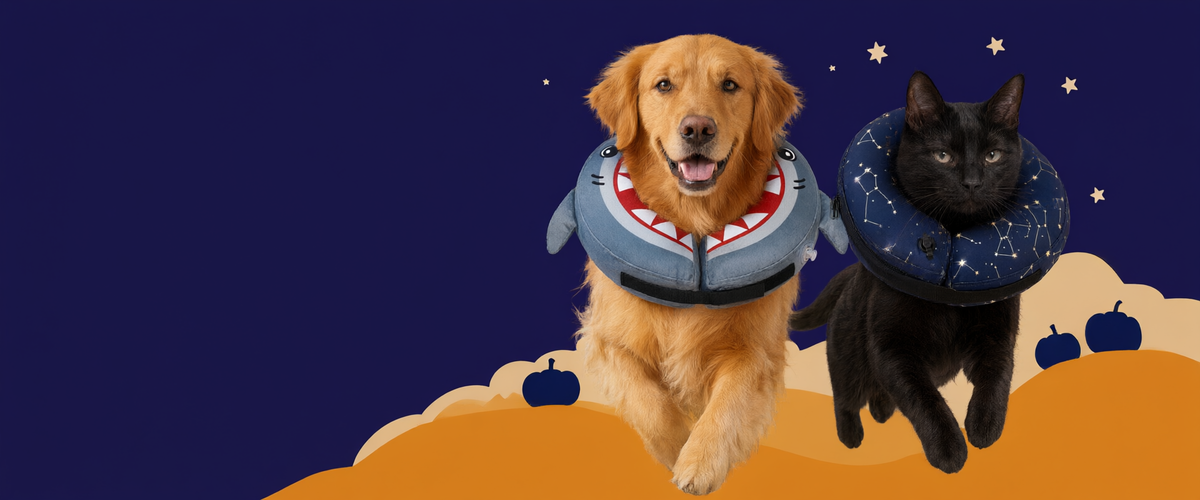BENCMATE Halloween hero banner desktop v2 - flat illustration style, Golden Retriever in Shark collar and black cat in Constellation collar cutouts on pumpkin dune with navy sky