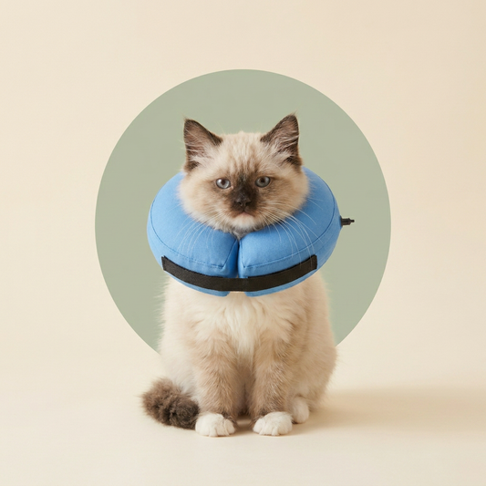 BENCMATE Recovery Collar for Dogs & Cats — Blue