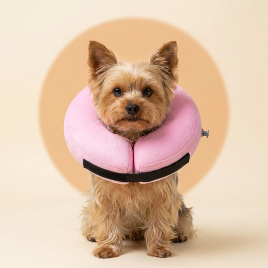 BENCMATE Recovery Collar for Dogs & Cats — Pink