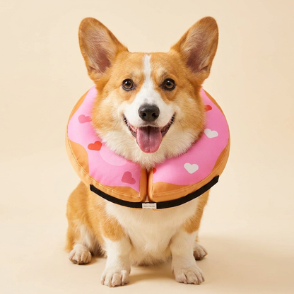 Pembroke Welsh Corgi dog wearing BENCMATE Heart Shape inflatable recovery collar